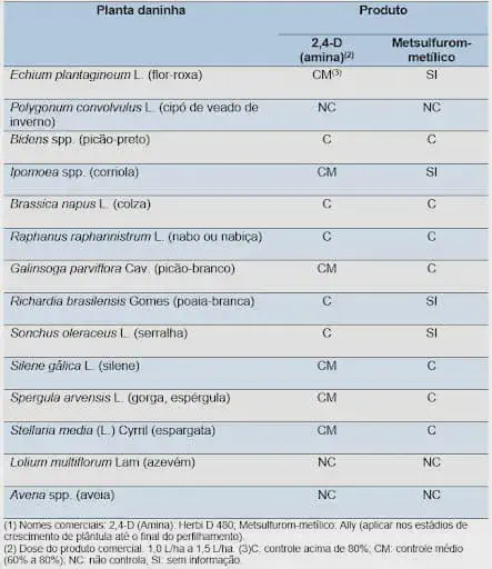 uma tabela técnica e informativa que compara a eficácia de dois produtos herbicidas, 2,4-D (amina) e Metsulfur