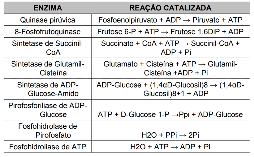 uma tabela didática que relaciona diferentes enzimas às reações bioquímicas que elas catalisam. A tabela é div