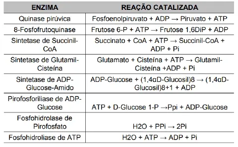 uma tabela didática que relaciona diferentes enzimas às reações bioquímicas que elas catalisam. A tabela é div