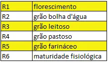 uma tabela didática que classifica os estádios fenológicos reprodutivos de uma cultura de grãos, provavelmente