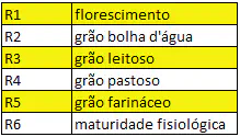 uma tabela didática que classifica os estádios fenológicos reprodutivos de uma cultura de grãos, provavelmente