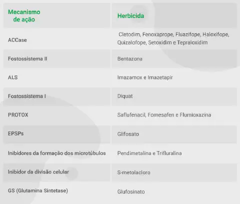 tabela informativa que classifica diferentes tipos de herbicidas com base em seus respectivos mecanism