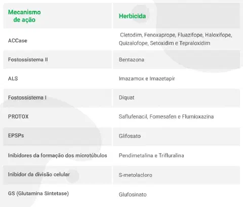 tabela informativa que classifica diferentes tipos de herbicidas com base em seus respectivos mecanism
