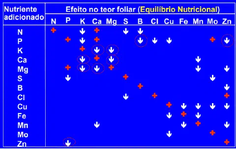 uma tabela técnica, conhecida como Tabela de Interação de Nutrientes ou Tabela de Mulder, que ilustra as compl