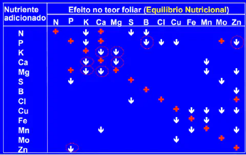 uma tabela técnica, conhecida como Tabela de Interação de Nutrientes ou Tabela de Mulder, que ilustra as compl