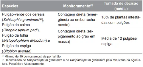 uma tabela técnica detalhada sobre o manejo de diferentes espécies de pulgões em lavouras de cereais. A tabela