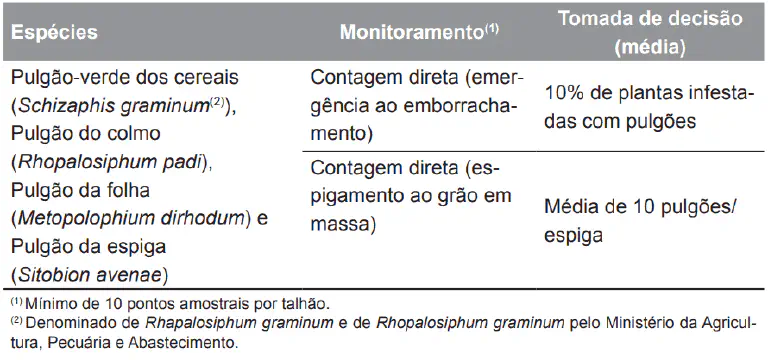 uma tabela técnica detalhada sobre o manejo de diferentes espécies de pulgões em lavouras de cereais. A tabela
