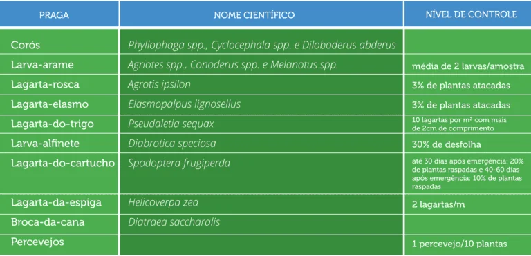 Tabela de Nível de Controle para Pragas Agrícolas uma tabela informativa, em português, sobre o manejo de pragas agrícolas. A tabela é dividida em três colunas