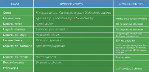 uma tabela informativa, em português, sobre o manejo de pragas agrícolas. A tabela é dividida em três colunas