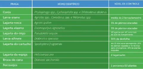 uma tabela informativa, em português, sobre o manejo de pragas agrícolas. A tabela é dividida em três colunas