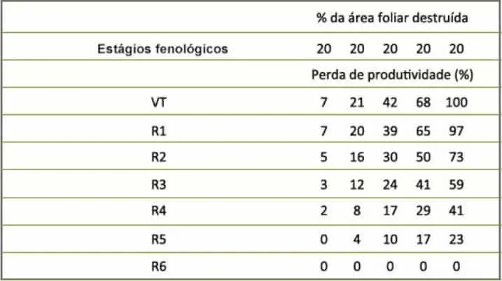 uma tabela de dados que correlaciona a perda de produtividade em uma cultura, provavelmente de milho, com a de
