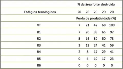 uma tabela de dados que correlaciona a perda de produtividade em uma cultura, provavelmente de milho, com a de