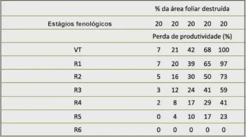 uma tabela de dados que correlaciona a perda de produtividade em uma cultura, provavelmente de milho, com a de