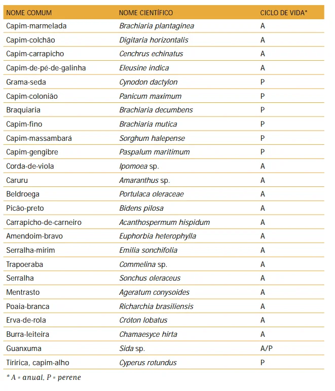 uma tabela informativa que cataloga diversas espécies de plantas daninhas comuns na agricultura brasileira. A