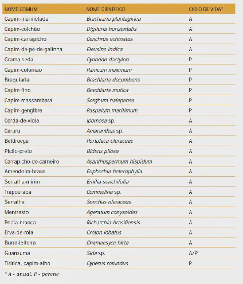 uma tabela informativa que cataloga diversas espécies de plantas daninhas comuns na agricultura brasileira. A