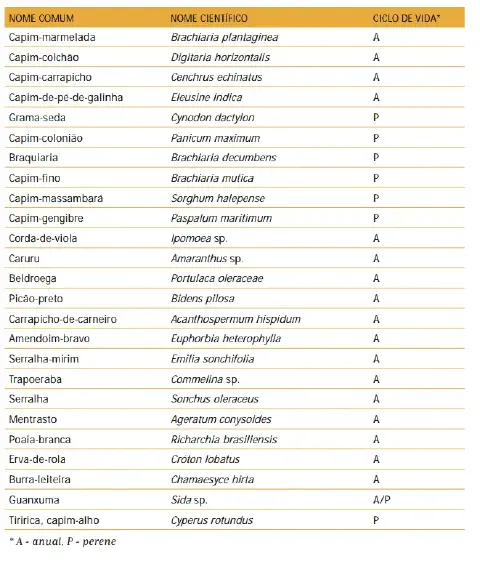 uma tabela informativa que cataloga diversas espécies de plantas daninhas comuns na agricultura brasileira. A