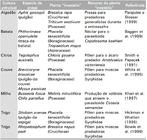 uma tabela informativa detalhada sobre o uso de 'plantas insetário' para o controle biológico de pragas em div
