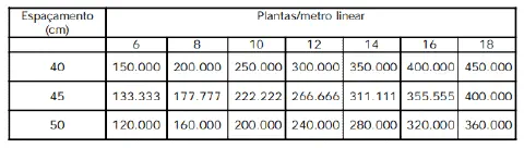 uma tabela técnica utilizada na agricultura para calcular a população de plantas por hectare. A tabela é estru
