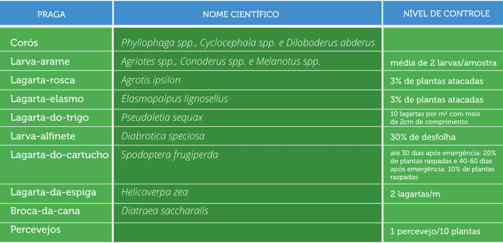 uma tabela informativa, concebida como um guia de referência rápida para o manejo de pragas agrícolas. A estru