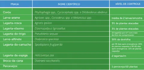 uma tabela informativa, concebida como um guia de referência rápida para o manejo de pragas agrícolas. A estru