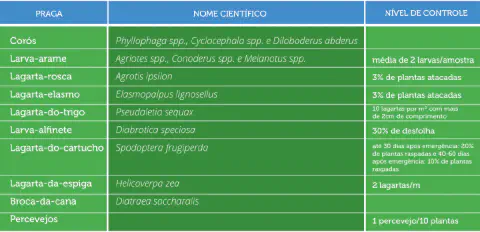uma tabela informativa, concebida como um guia de referência rápida para o manejo de pragas agrícolas. A estru
