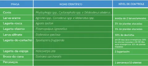 uma tabela informativa sobre pragas agrícolas, organizada em três colunas: 'PRAGA', 'NOME CIENTÍFICO' e 'NÍVEL