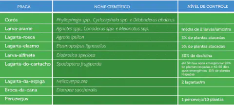 uma tabela informativa sobre pragas agrícolas, organizada em três colunas: 'PRAGA', 'NOME CIENTÍFICO' e 'NÍVEL