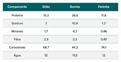uma tabela comparativa que detalha a composição nutricional de um grão e seus subprodutos, o germe e a farinha