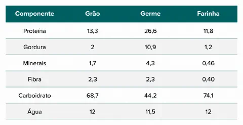 uma tabela comparativa que detalha a composição nutricional de um grão e seus subprodutos, o germe e a farinha