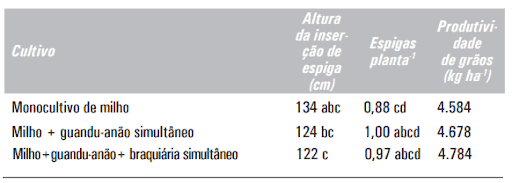 Tabela: Produtividade do Milho em Consórcio vs Monocultivo uma tabela de dados comparativos, resultado de um estudo agrícola, que analisa o desempenho do milho sob difer