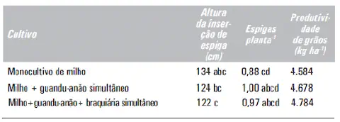 uma tabela de dados comparativos, resultado de um estudo agrícola, que analisa o desempenho do milho sob difer