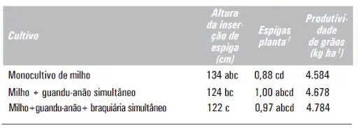 Tabela: Produtividade do Milho em Consórcio vs Monocultivo uma tabela de dados comparativos, resultado de um estudo agrícola, que analisa o desempenho do milho sob difer