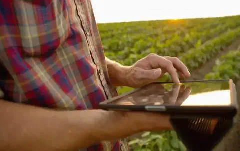 close-up de um agricultor em meio a uma lavoura, com o sol se pondo ou nascendo ao fundo, criando uma ilu