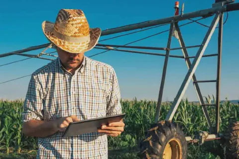 agricultor ou agrônomo moderno em meio a uma lavoura de milho, sob um céu azul e limpo. Vestindo uma cami