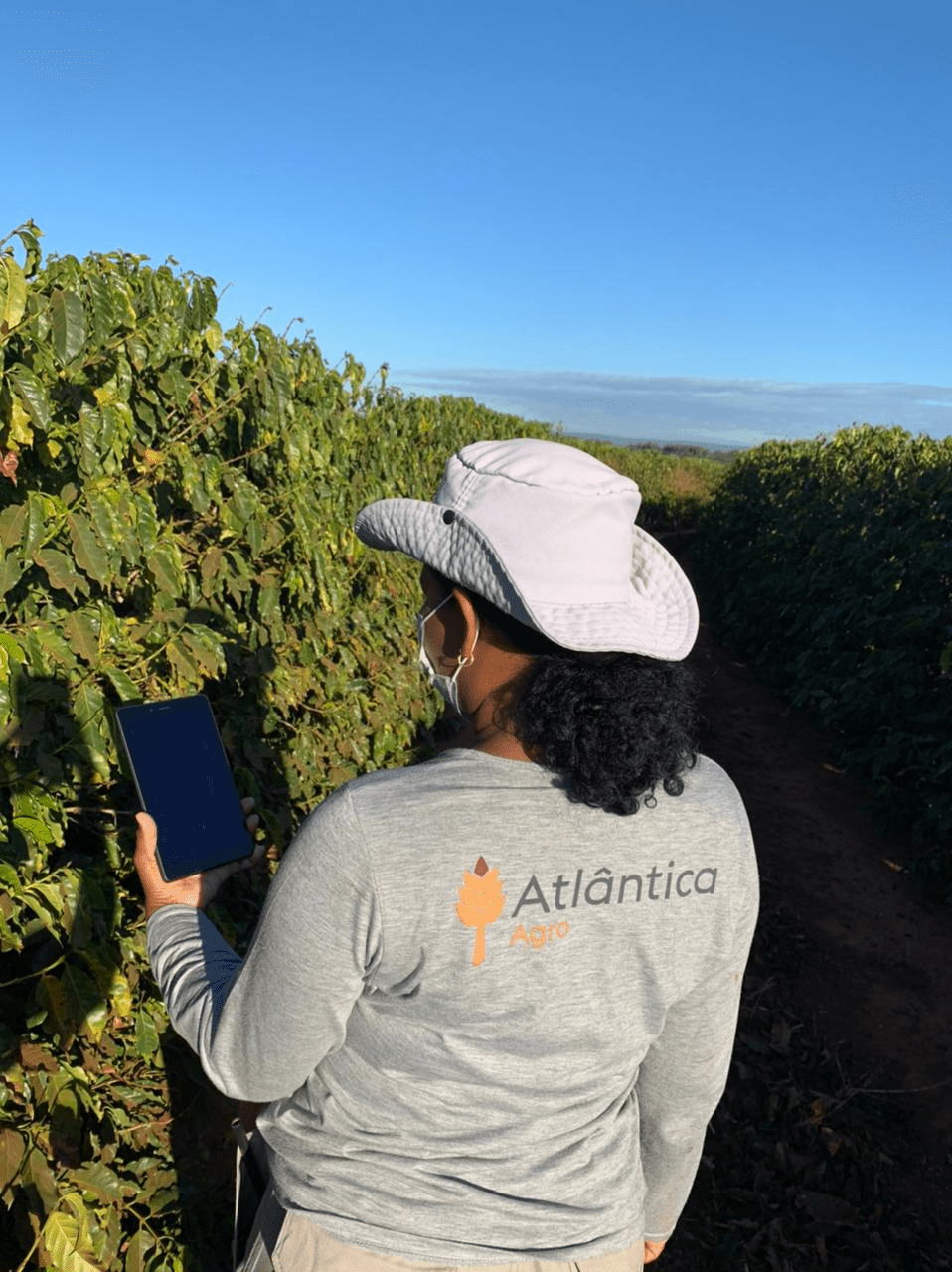 profissional da agronomia, vista de costas, em meio a uma vasta plantação de café sob um céu azul e limp