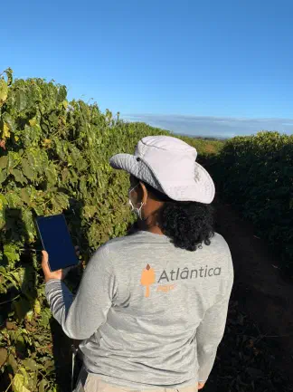 Miniatura do artigo de Historias de Sucesso: Controle de Pragas no Café: Caso Montesanto Tavares em 2.000 Hectares