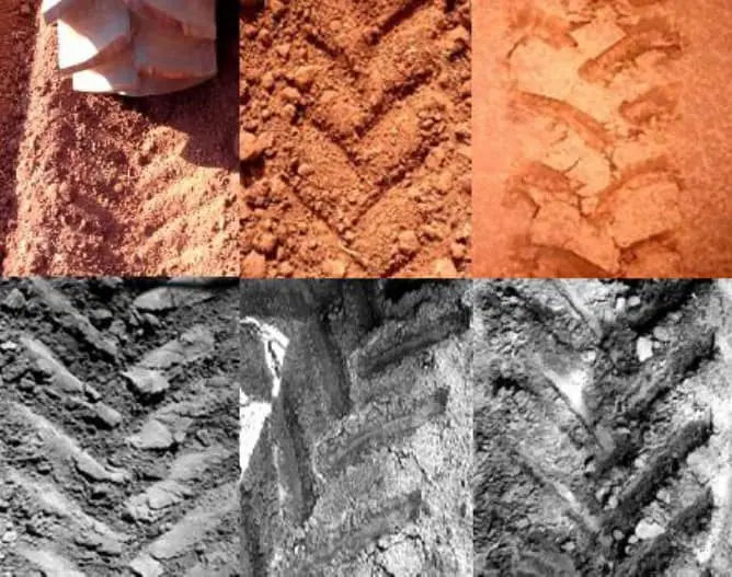 Esta imagem é uma montagem composta por seis fotografias, divididas em duas fileiras. A fileira superior, em cores, exibe ras