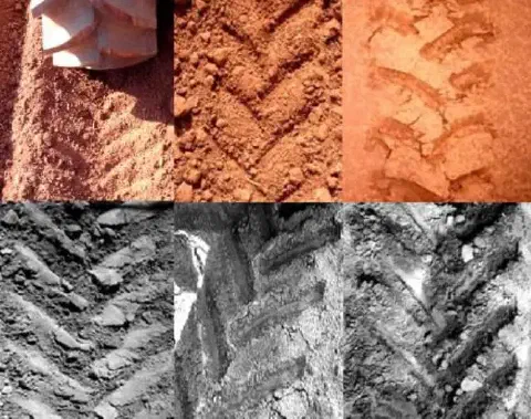 Esta imagem é uma montagem composta por seis fotografias, divididas em duas fileiras. A fileira superior, em cores, exibe ras