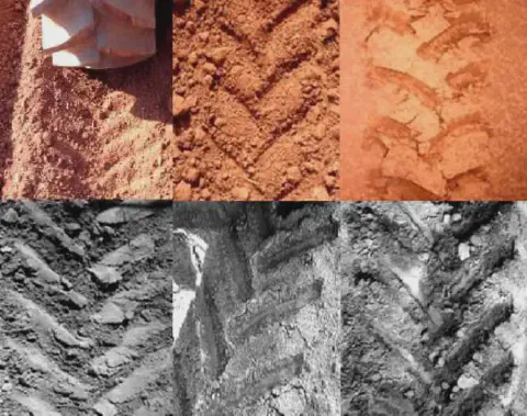 Esta imagem é uma montagem composta por seis fotografias, divididas em duas fileiras. A fileira superior, em cores, exibe ras