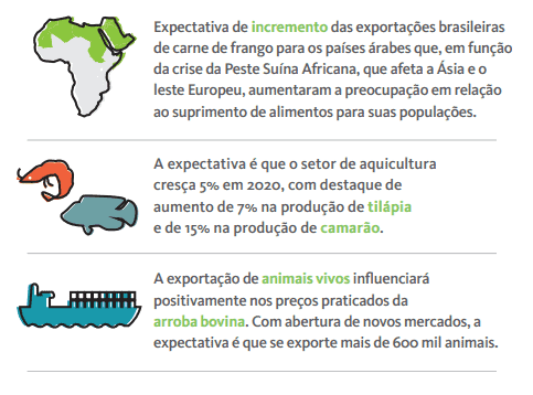 infográfico que apresenta três tendências e expectativas para o agronegócio brasileiro, focando na exportação.
