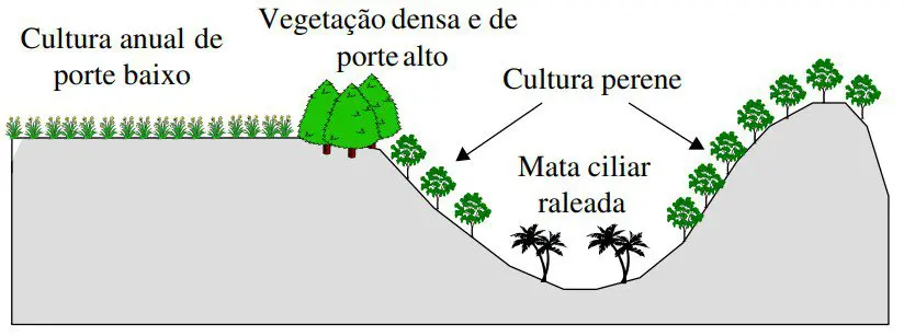 Tipos de Culturas e Mata Ciliar na Paisagem Rural diagrama esquemático de um corte transversal de uma paisagem rural, ilustrando diferentes formas de uso do