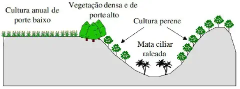 diagrama esquemático de um corte transversal de uma paisagem rural, ilustrando diferentes formas de uso do