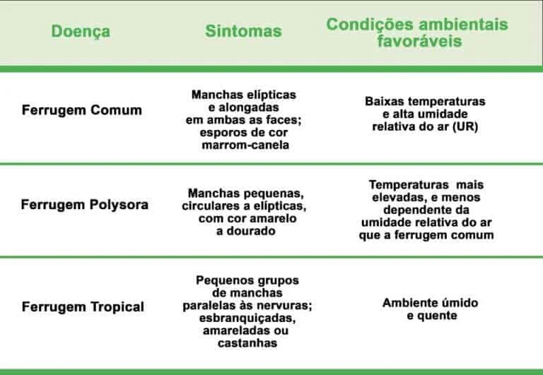 tabela comparativa, clara e organizada, que detalha três tipos de doenças fúngicas conhecidas como fer