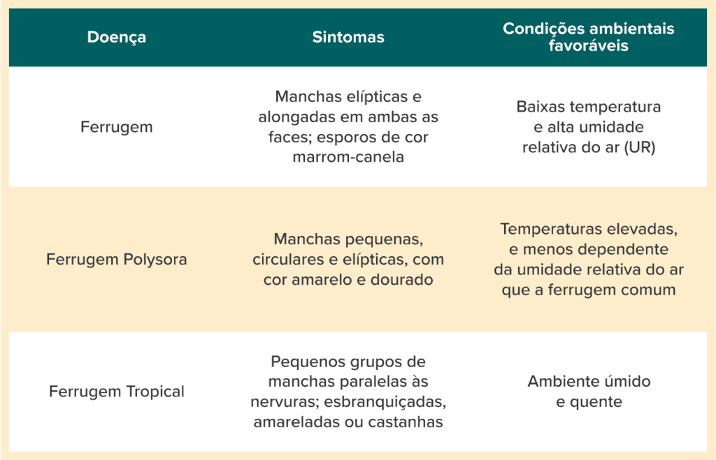 tabela comparativa, clara e organizada, que detalha três tipos de doenças fúngicas conhecidas como fer