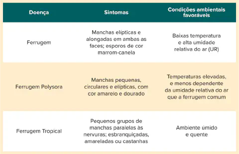 tabela comparativa, clara e organizada, que detalha três tipos de doenças fúngicas conhecidas como fer