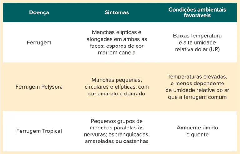 Tipos de Ferrugem: Sintomas e Condições para Identificação tabela comparativa, clara e organizada, que detalha três tipos de doenças fúngicas conhecidas como fer