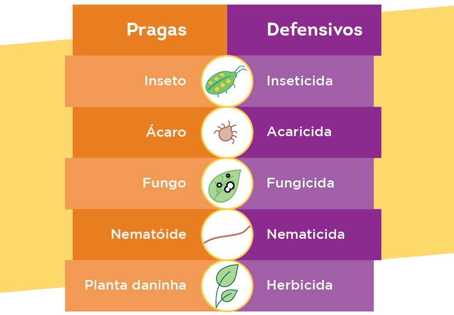 infográfico educacional que ilustra a correlação entre diferentes tipos de pragas agrícolas e os defensivos esp