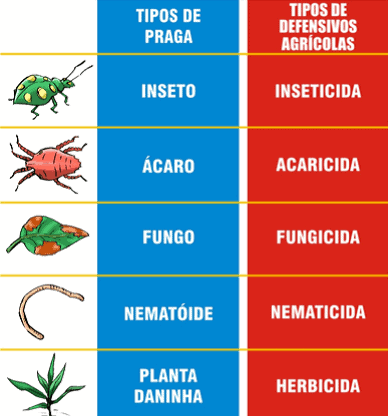 infográfico educativo que classifica diferentes tipos de pragas agrícolas e os associa aos seus respectivos def
