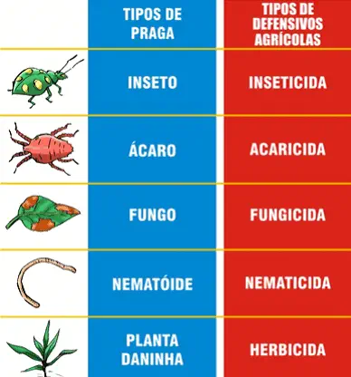 infográfico educativo que classifica diferentes tipos de pragas agrícolas e os associa aos seus respectivos def