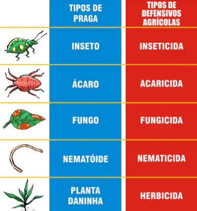 infográfico educativo que classifica diferentes tipos de pragas agrícolas e os associa aos seus respectivos def
